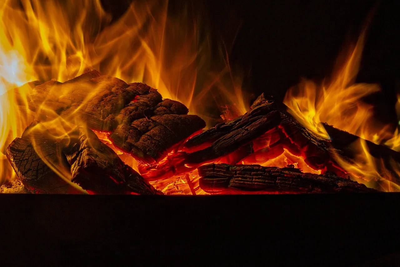 The Trend Line: Heatwaves Are Getting More Frequent (Image Credits: Pixabay)