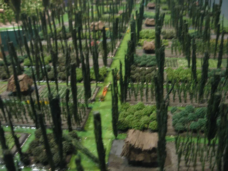 Grouping by Plant Family: The Rule Most Gardens Ignore (beanqueen.killer, Flickr, CC BY-SA 2.0)