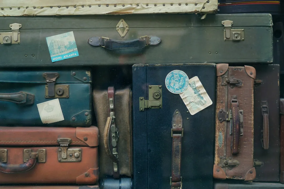 The Numbers Behind the Nostalgia (Image Credits: Unsplash)