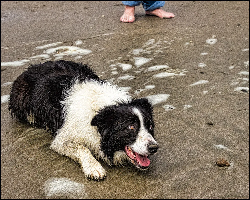The Body Language Factor (E Haug, Flickr, CC BY 2.0)
