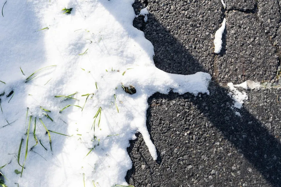 Snow and Soil Moisture: A Two-Part Benefit (Image Credits: Pexels)
