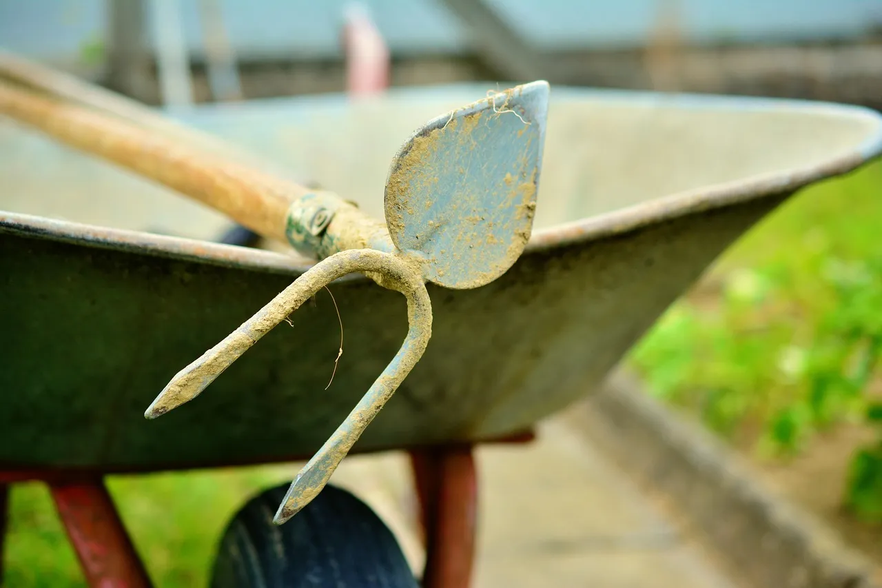 What You Should Absolutely Buy Secondhand (Image Credits: Pixabay)