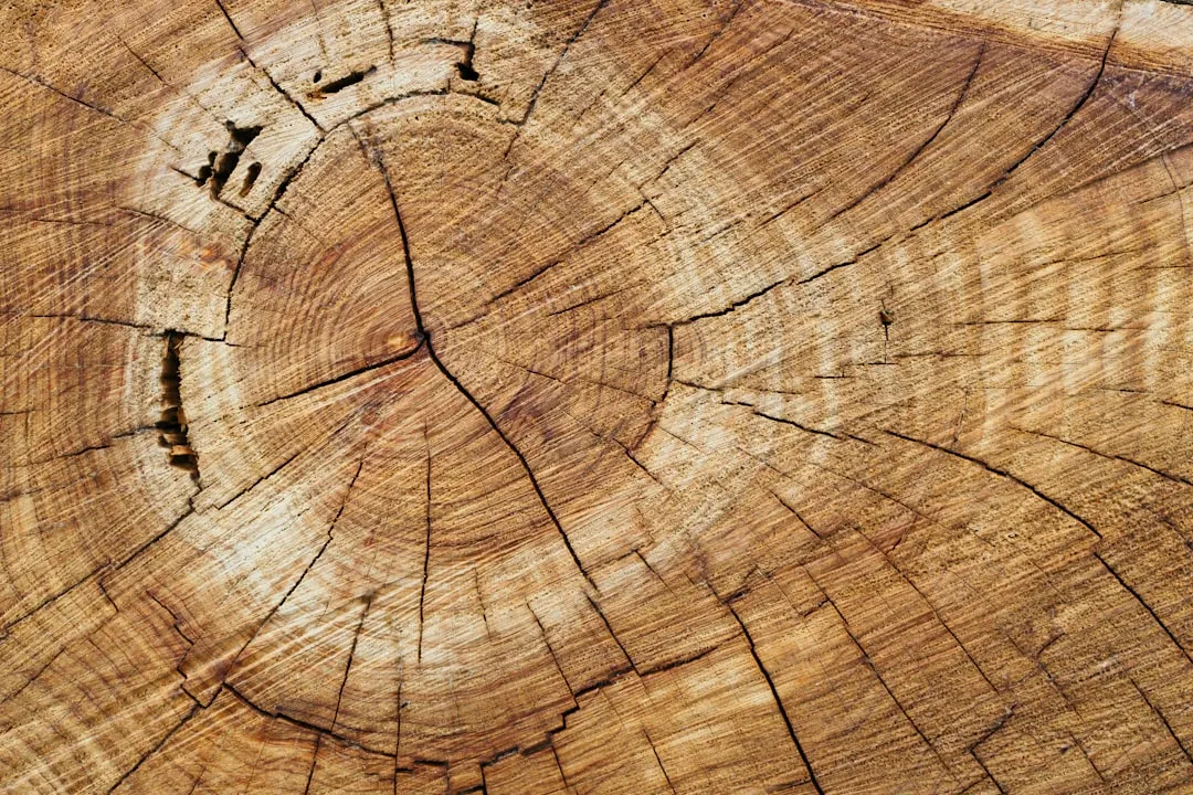 2. Mortise and Tenon: The King of Frame Construction (Image Credits: Unsplash)
