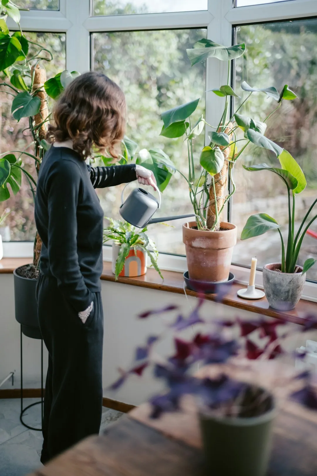 A Quieter Way to Care (Image Credits: Unsplash)
