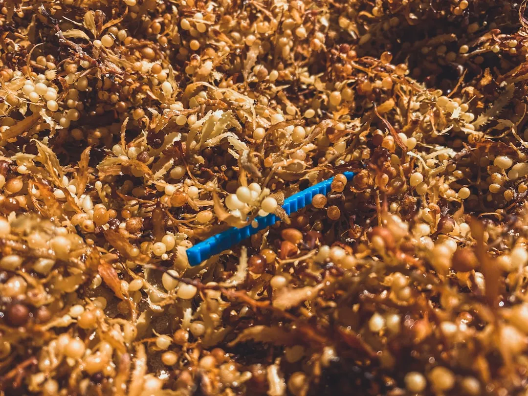 Microplastic Contamination in the Compost Pile (Image Credits: Unsplash)