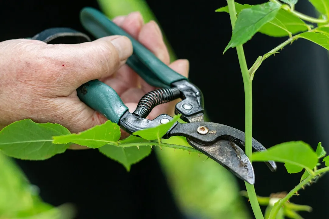 How Often Should You Actually Sharpen? (Image Credits: Unsplash)