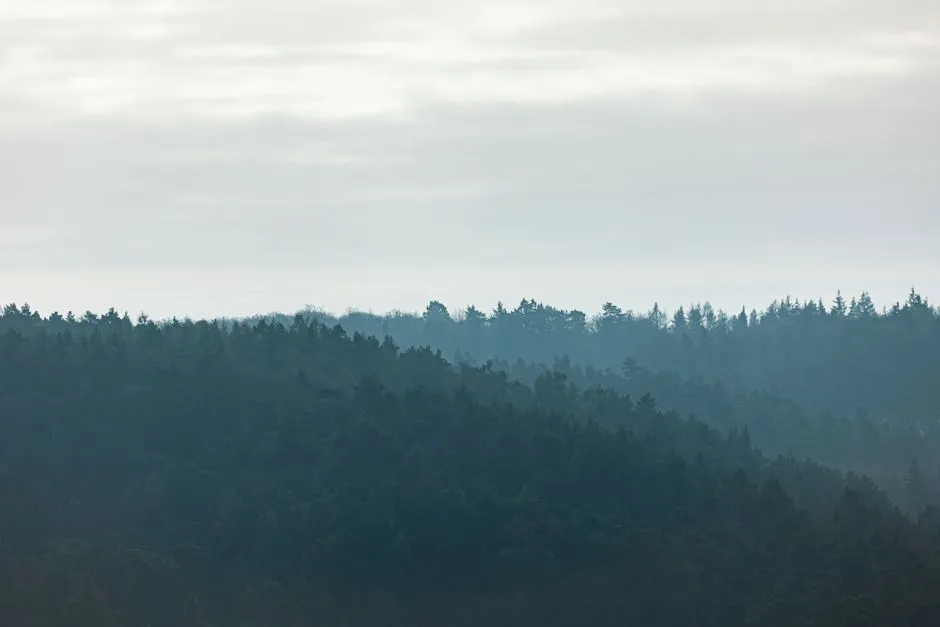 Why Nature Invented Layering First (Image Credits: Pexels)
