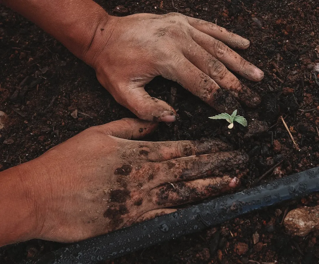 Why Depth Controls Everything From the Start (Image Credits: Unsplash)