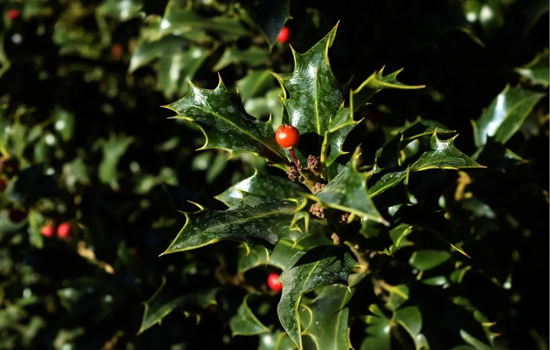 Shrub Thinning: The Interior Cut Most Skip (Image Credits: Unsplash)