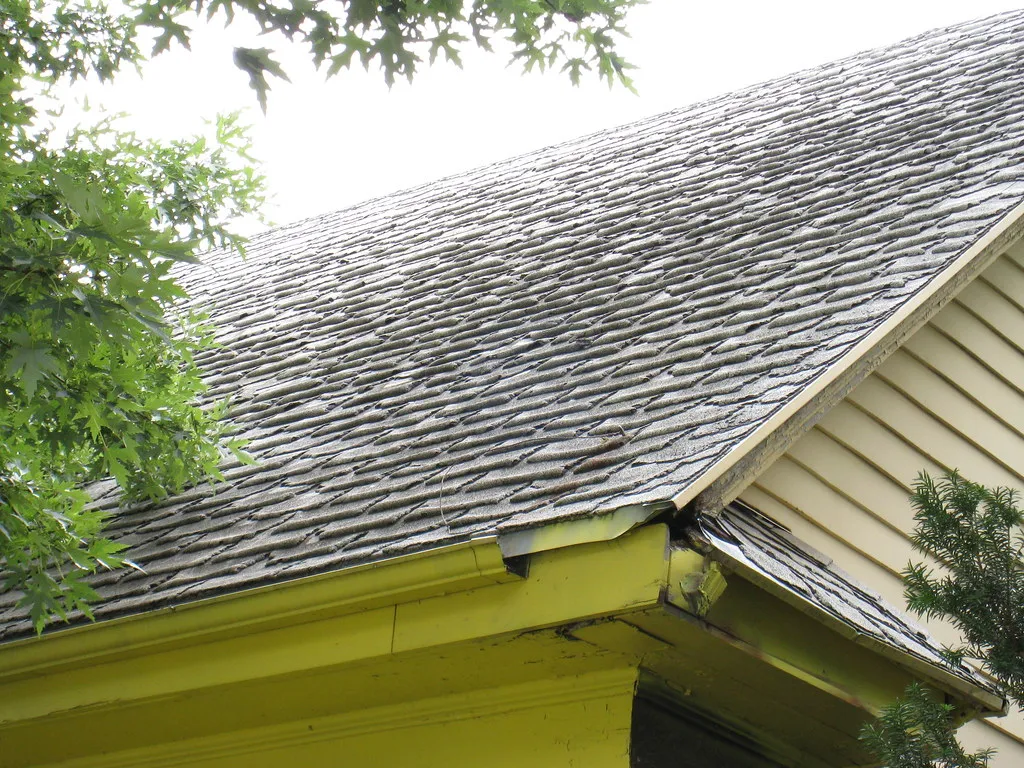 Roof and Fascia Rot: The Damage Closest to the Gutter (Michael Cornelius, Flickr, CC BY-SA 2.0)