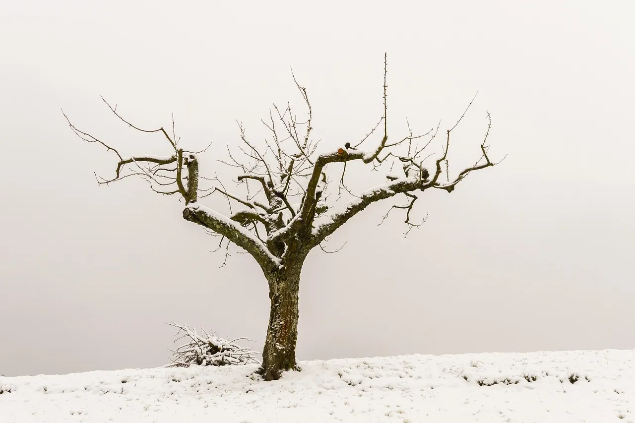 How to Get the Timing Right, Plant by Plant (Image Credits: Pixabay)