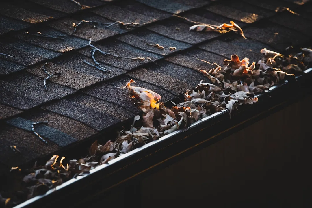 The Scale of the Problem: How Often Gutters Are Actually Neglected (Image Credits: Unsplash)