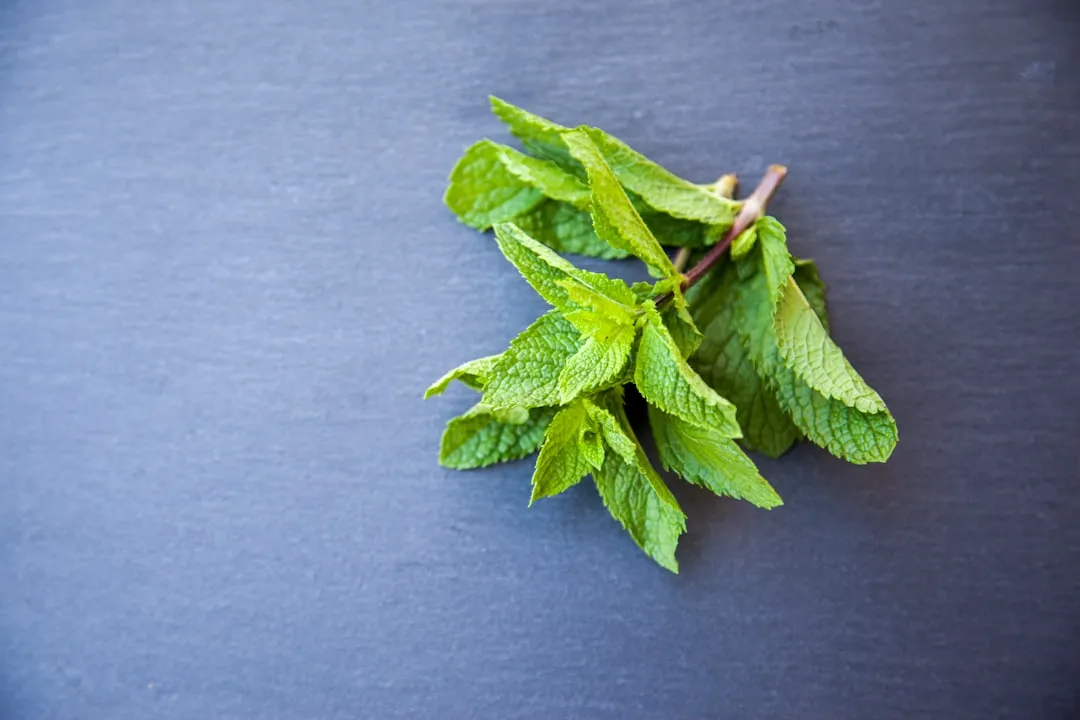 5. Peppermint: Muscle Relaxation from the Inside (Image Credits: Unsplash)