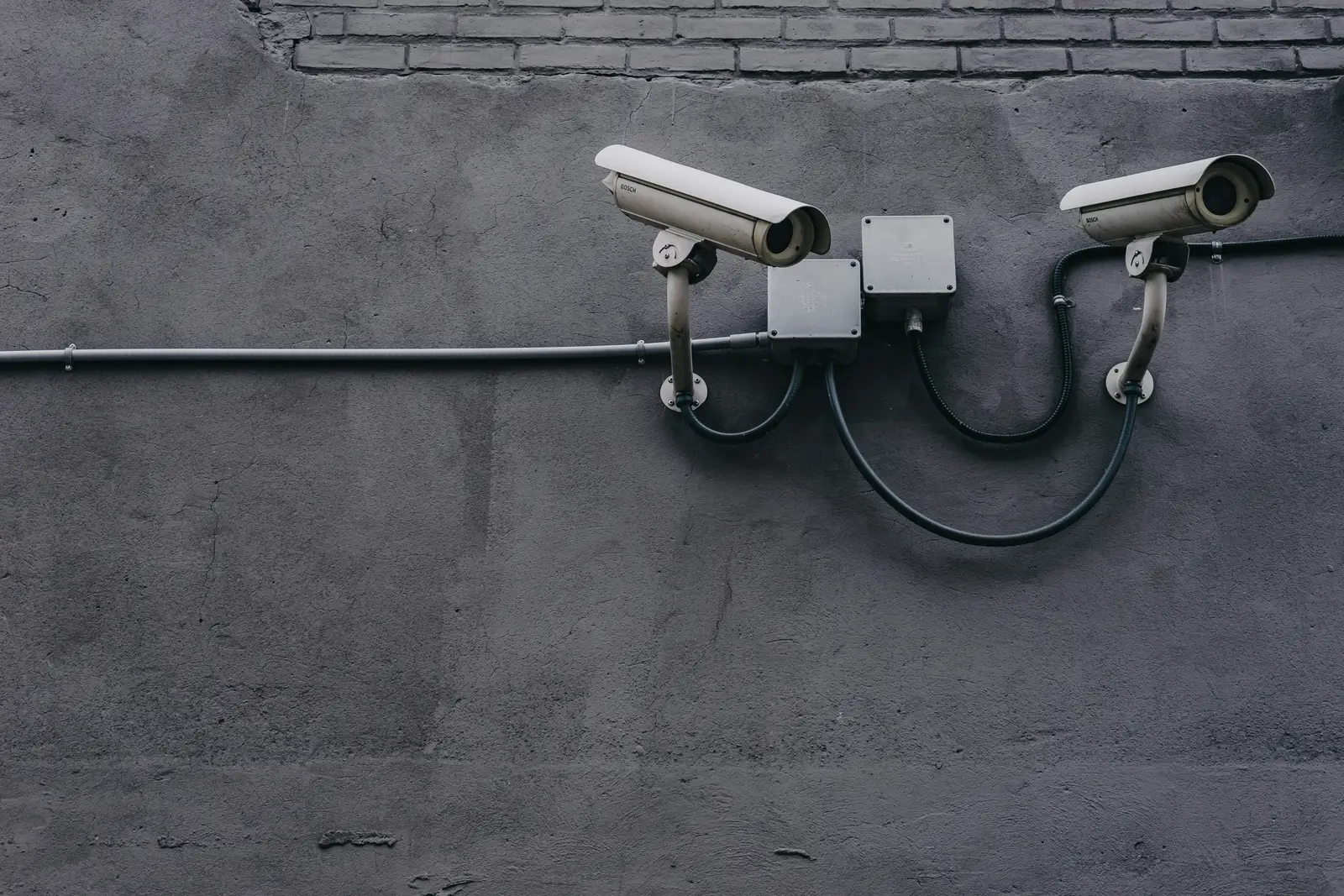 A Few Bonus Vulnerabilities Worth Knowing (Image Credits: Unsplash)
