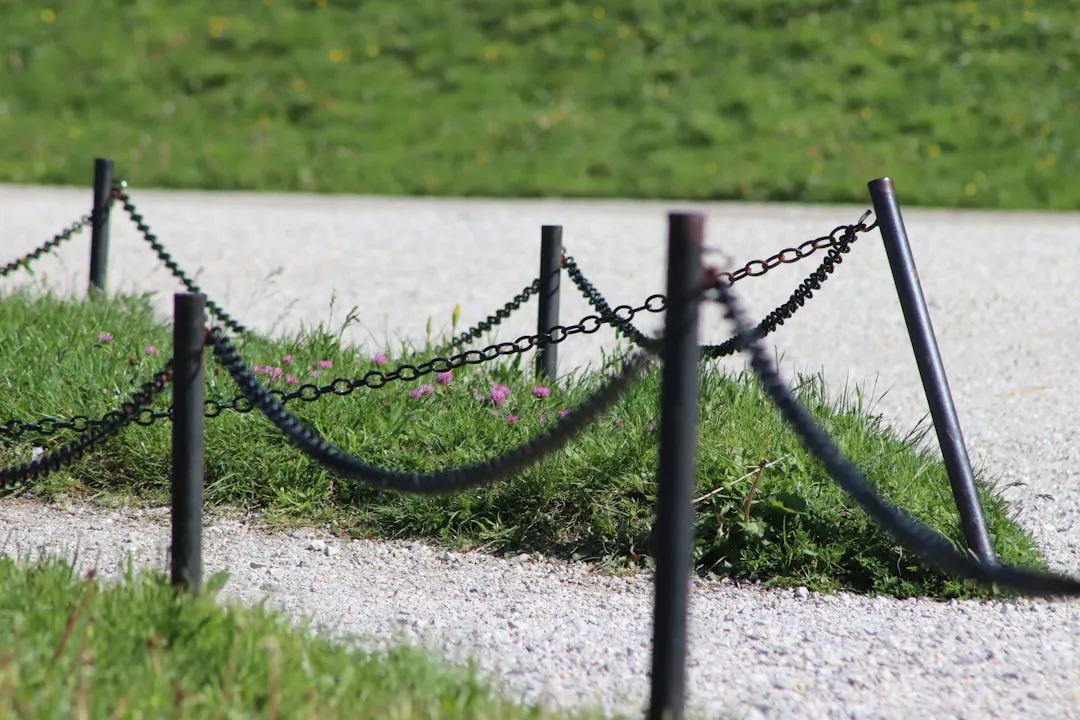 Steel and Metal Edging: Thin, but Quietly Effective (Image Credits: Unsplash)