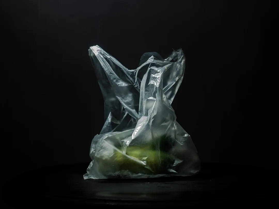 2. Washington State Raises the Price on Plastic Bags (Image Credits: Unsplash)