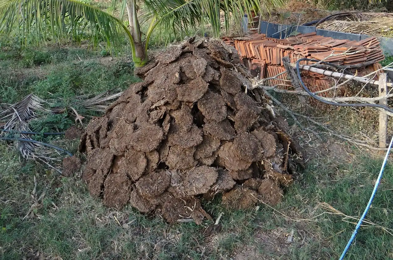 The Practical Volume Rule for Balancing Your Pile (Image Credits: Pixabay)