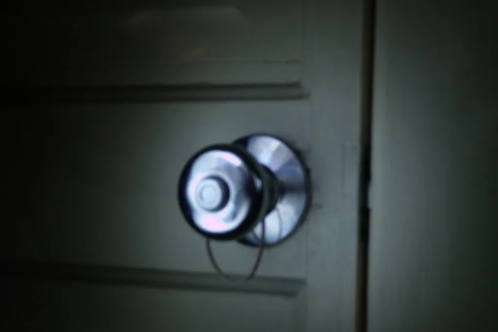 The Bathroom Knob Is the Worst Offender in the House (Rex Roof, Flickr, CC BY 2.0)