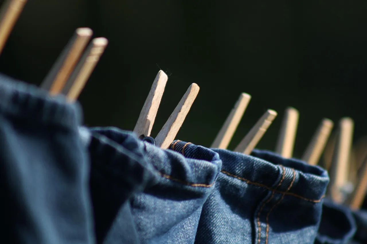 The Complexity of the Wash Load (Image Credits: Pixabay)