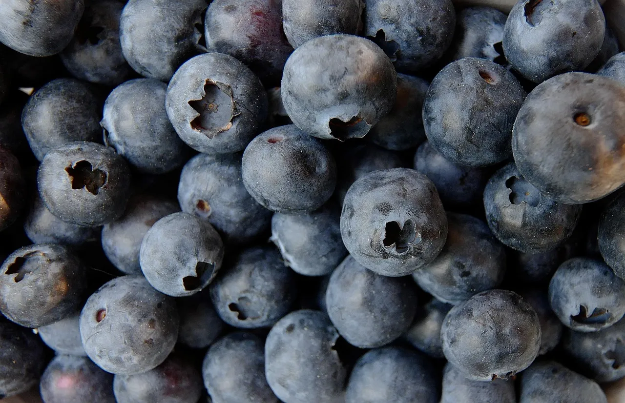 2. Blueberries: Small Berries With Outsized Brain Benefits (Image Credits: Pixabay)