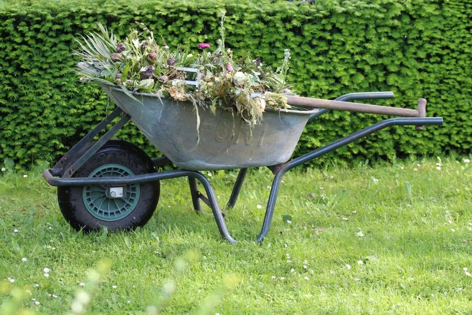 Composting Seeding Weeds Improperly (Image Credits: Pexels)
