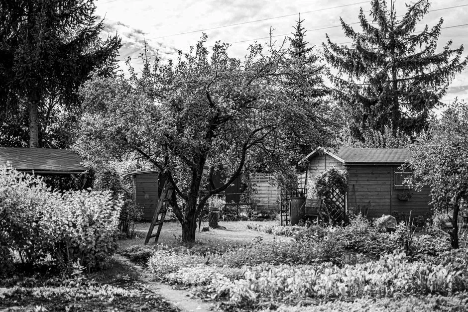 ADU Permitting Is Opening New Doors for Shed Owners (Image Credits: Pexels)