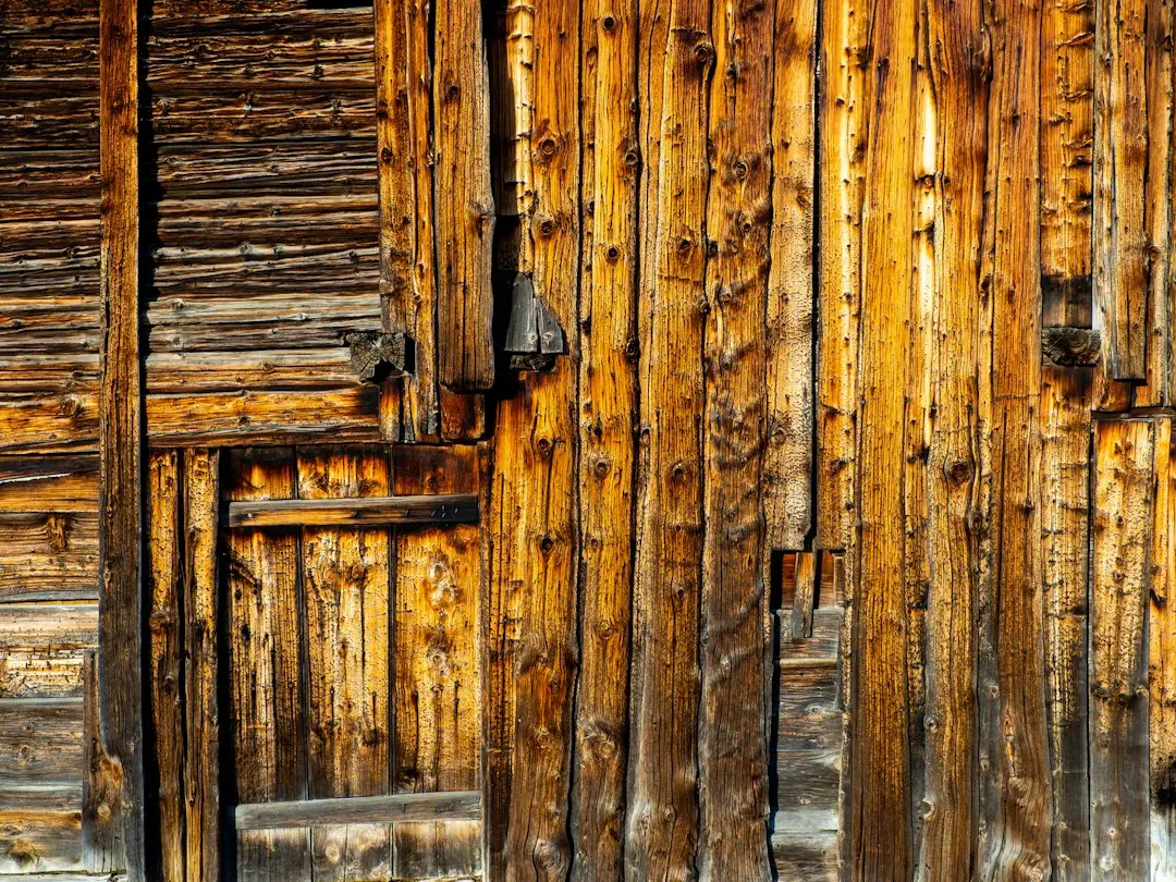 Why Doors Swing Free in Winter (Image Credits: Unsplash)