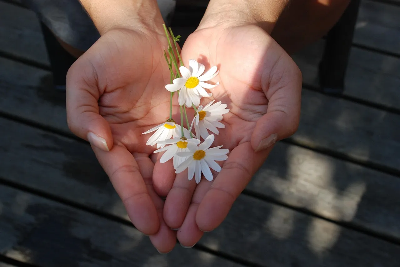 6. The Giver Benefits Too (Image Credits: Pixabay)