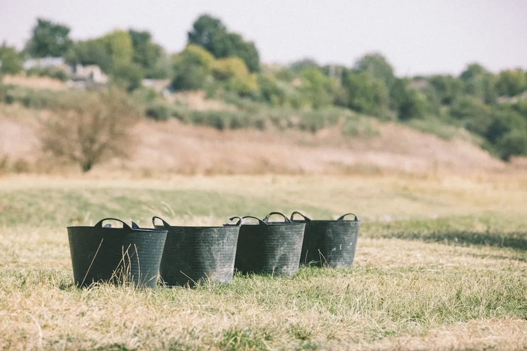 Setting Up the Five-Gallon Bucket Correctly (Image Credits: Unsplash)
