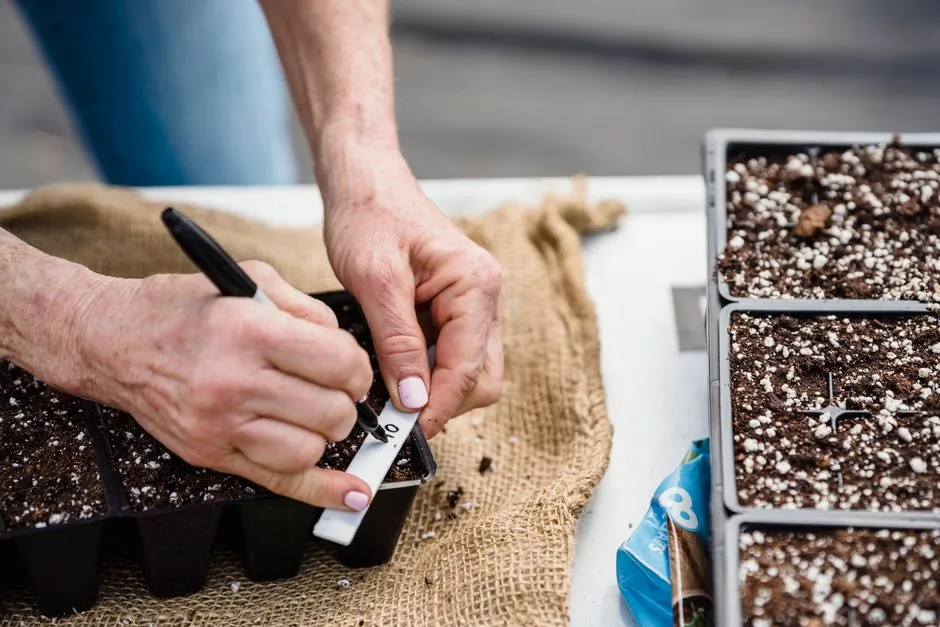 The Folded Tag: A Tiny Billboard That Started It All (Image Credits: Pexels)
