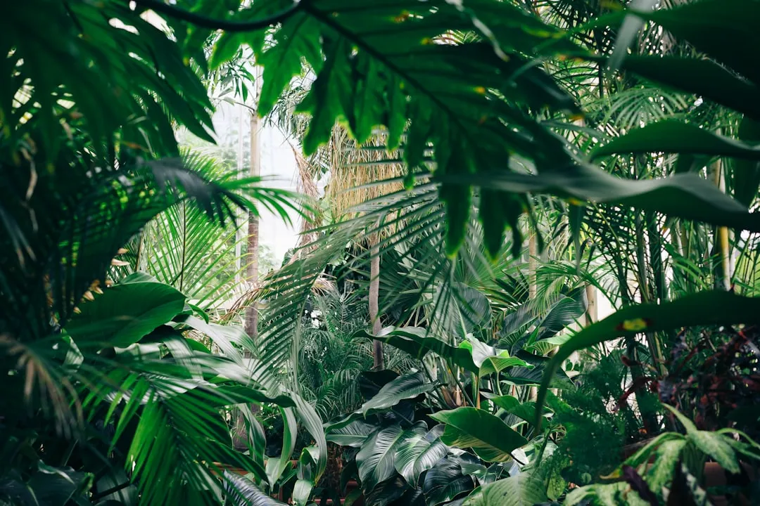 The Market Behind the Obsession Is Enormous (Image Credits: Unsplash)
