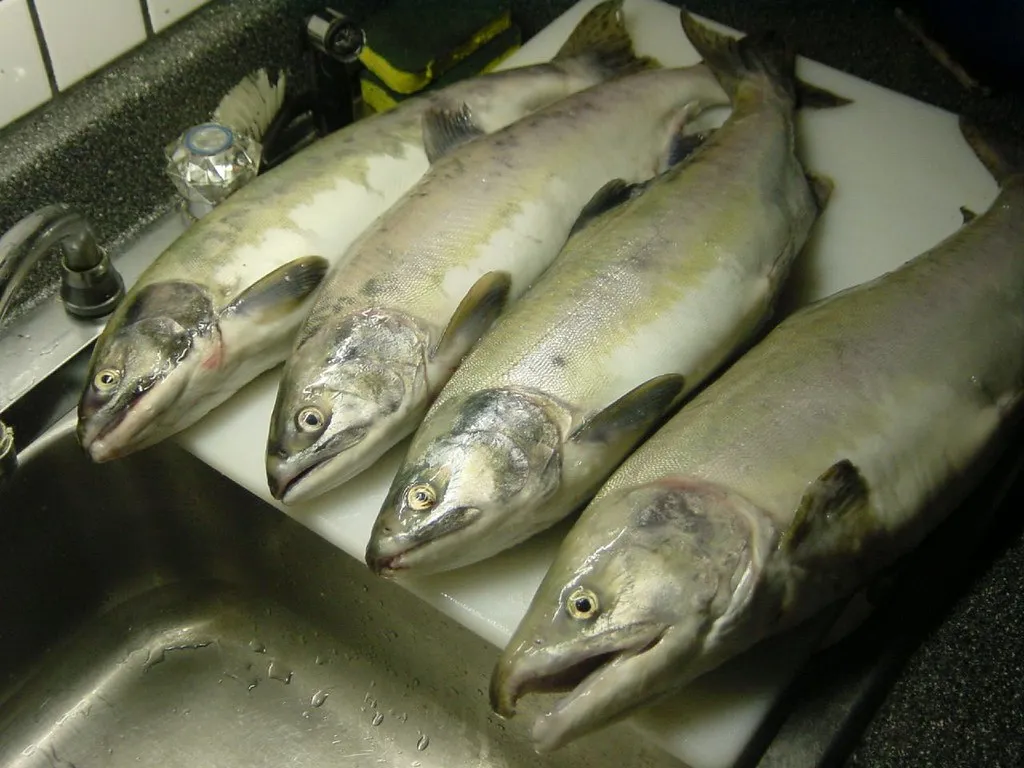 4. Burying Fish in the Garden Feeds Your Crops (anselm, Flickr, CC BY 2.0)