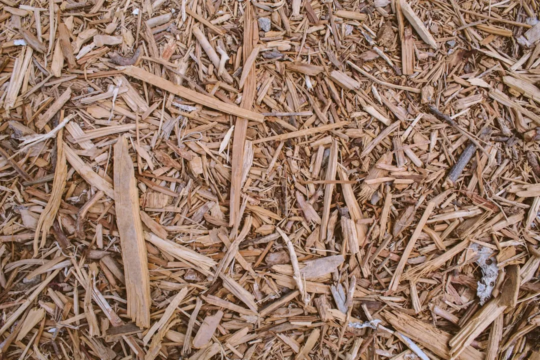 Where to Get Free Wood Chips Near You (Image Credits: Unsplash)