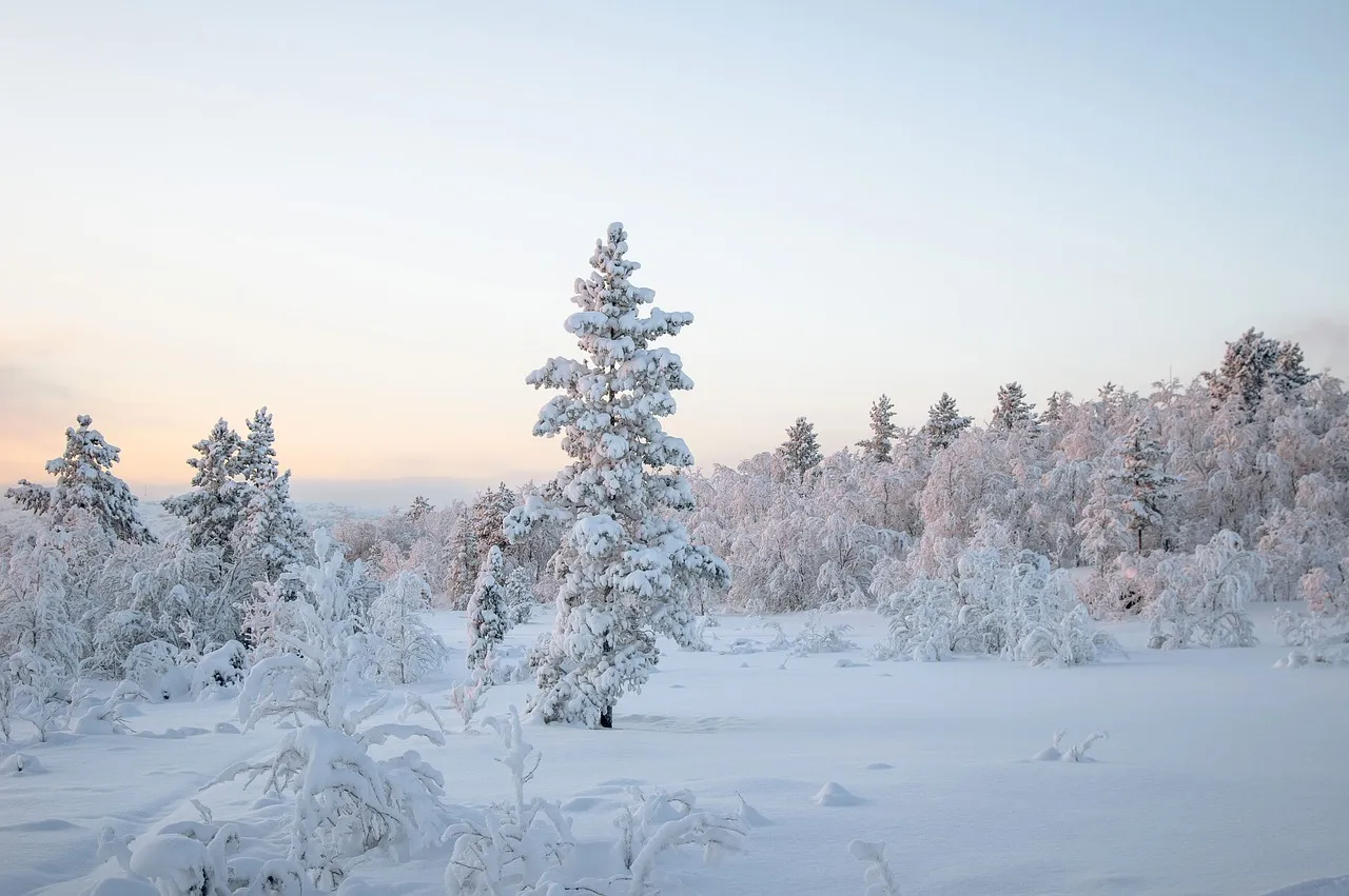 Conservation and Restoration Implications (Image Credits: Pixabay)