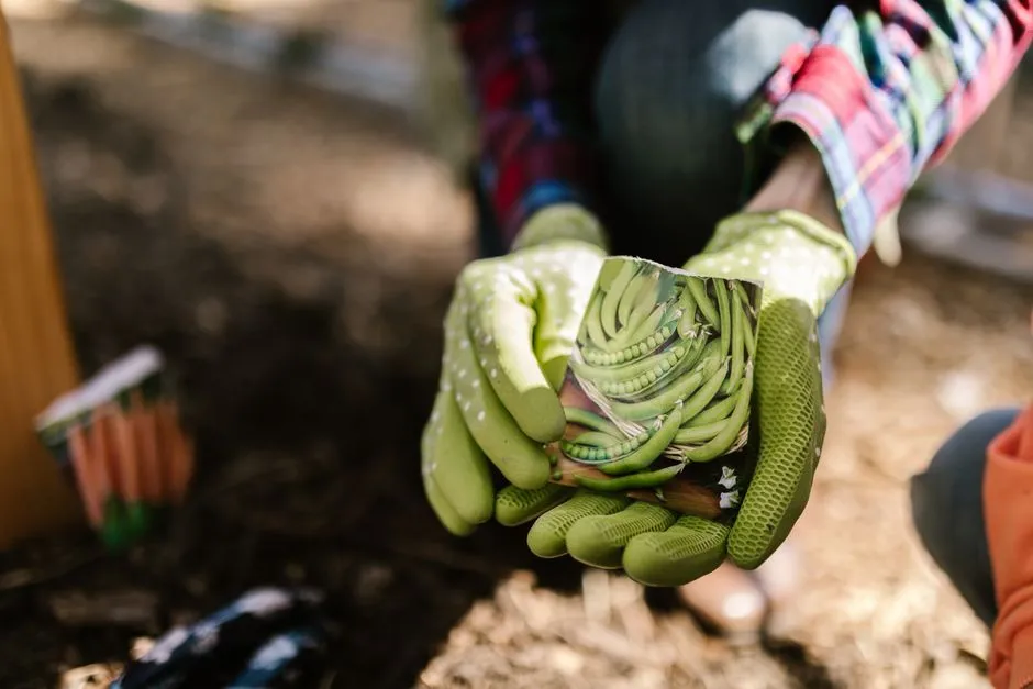 Why Historians and Scientists Want Them Too (Image Credits: Pexels)