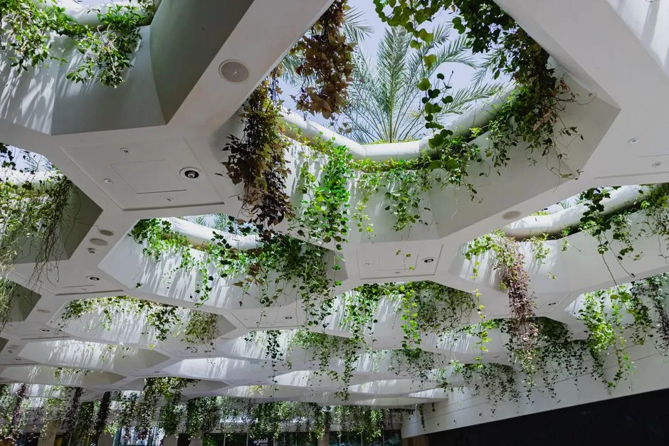 Nature-Inspired Design Calms the Body Physically (Image Credits: Pexels)