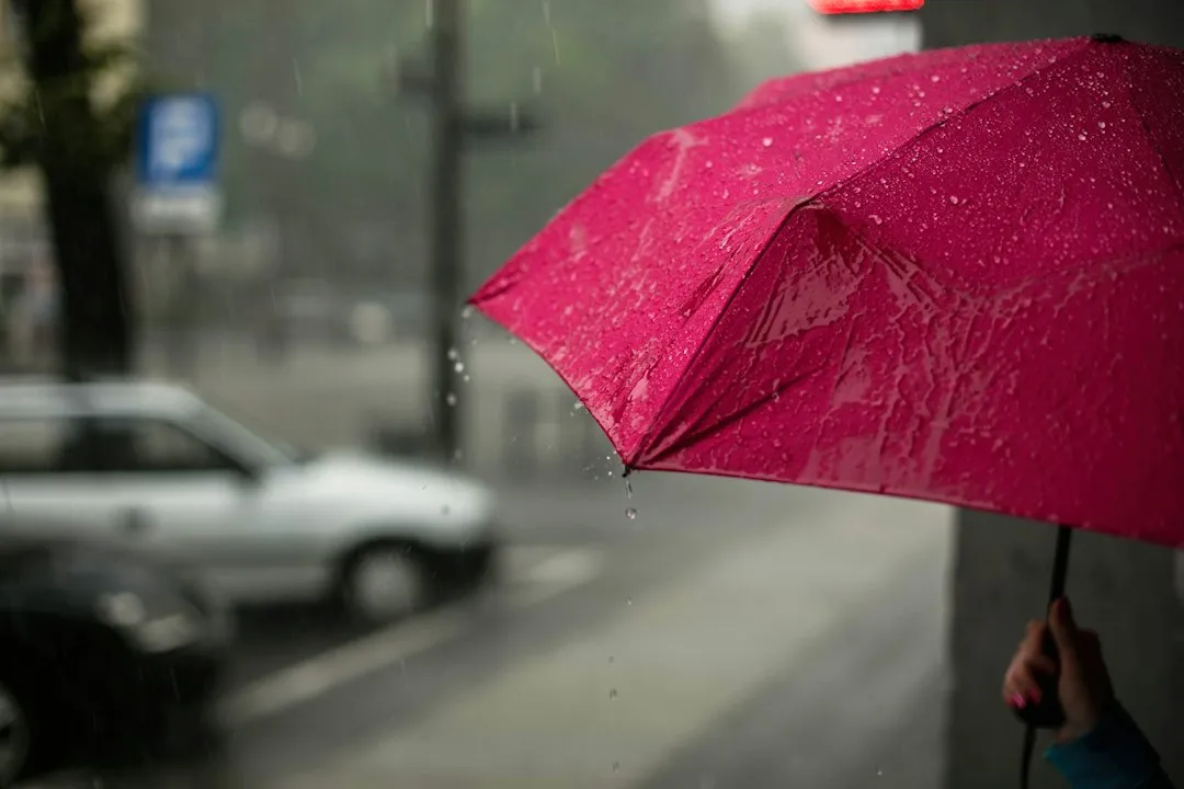 Rainy Days Make You Move Less (Image Credits: Unsplash)