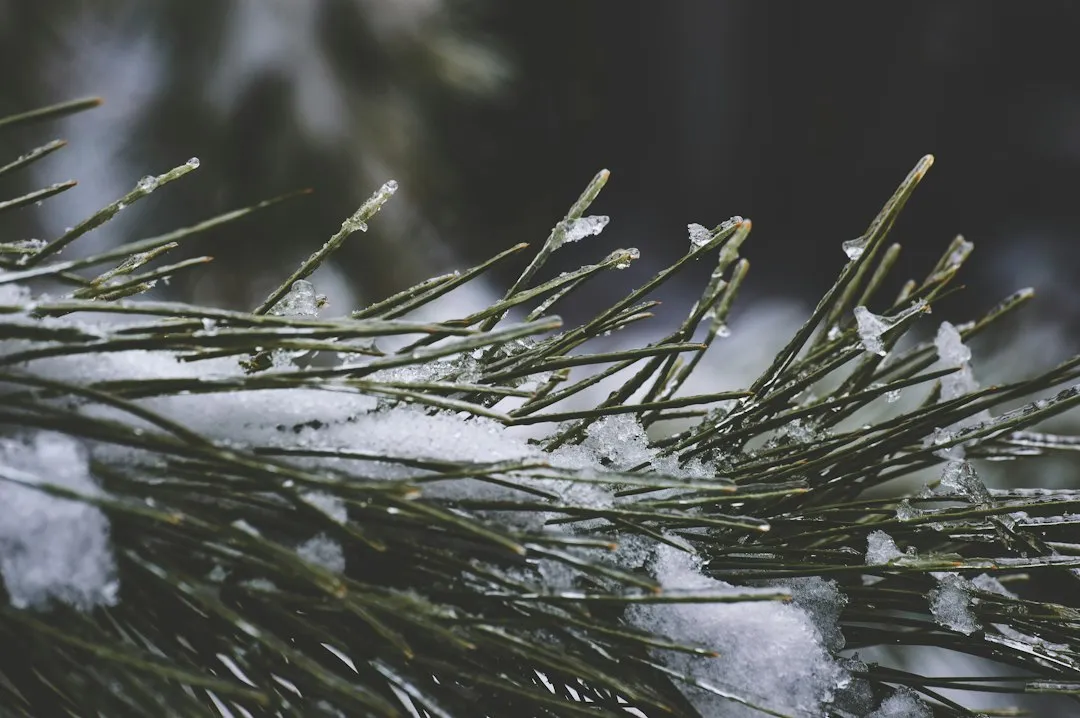 Final Thoughts (Image Credits: Unsplash)