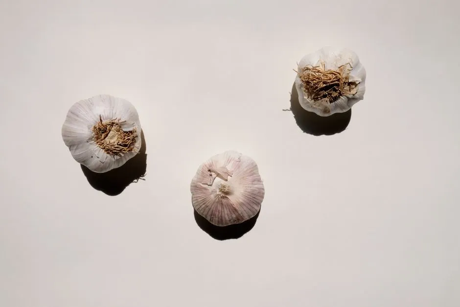 Spring Care: Feeding and Weeding for Big Bulbs (Image Credits: Pexels)