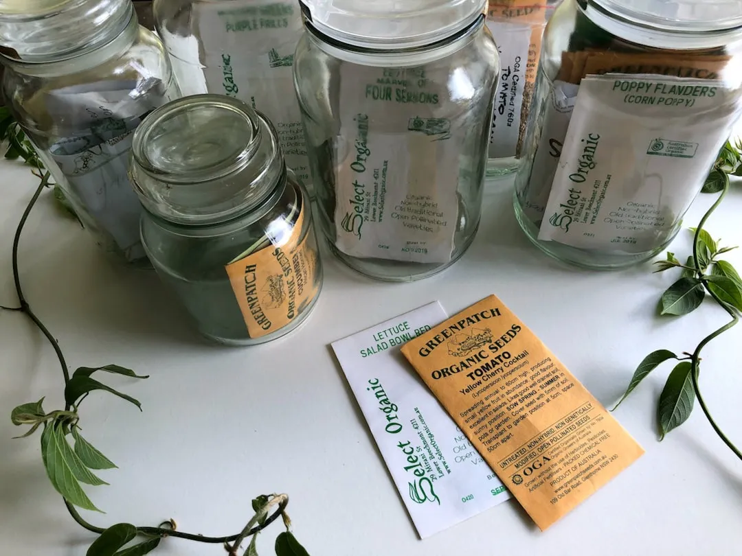 The Role of Botanical Illustration in Driving Value (Image Credits: Unsplash)