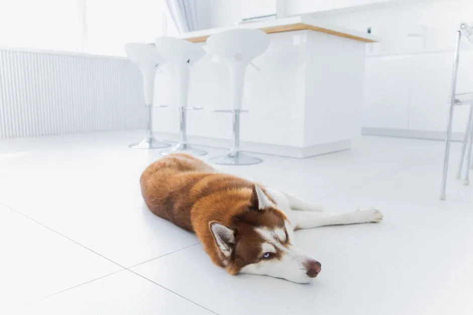 Sleeping on Cool Surfaces: A Health Clue Worth Noting (Image Credits: Pexels)