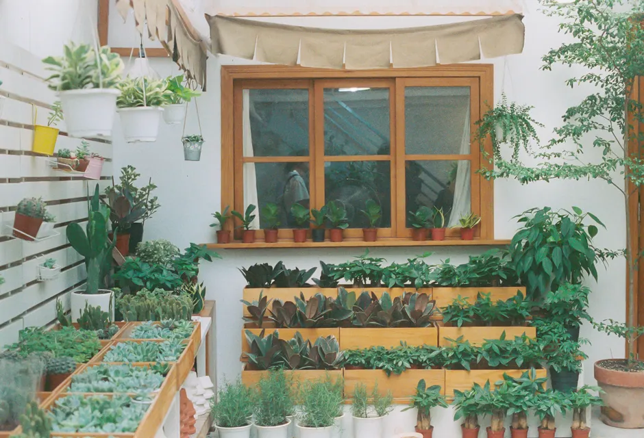 Choosing the Right Window: Orientation Matters More Than You Think (Image Credits: Pexels)