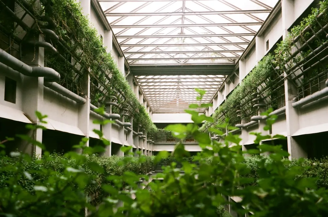 Indoor Vertical Farming Was Born From Space Research (Image Credits: Unsplash)