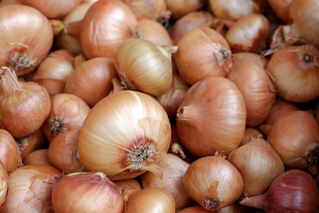 6. Onions: Moisture Is the Enemy (Image Credits: Unsplash)