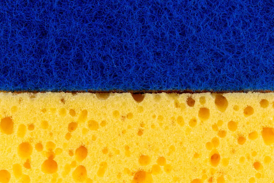 Your Sponge Harbors More Bacteria Than Your Toilet (Image Credits: Unsplash)