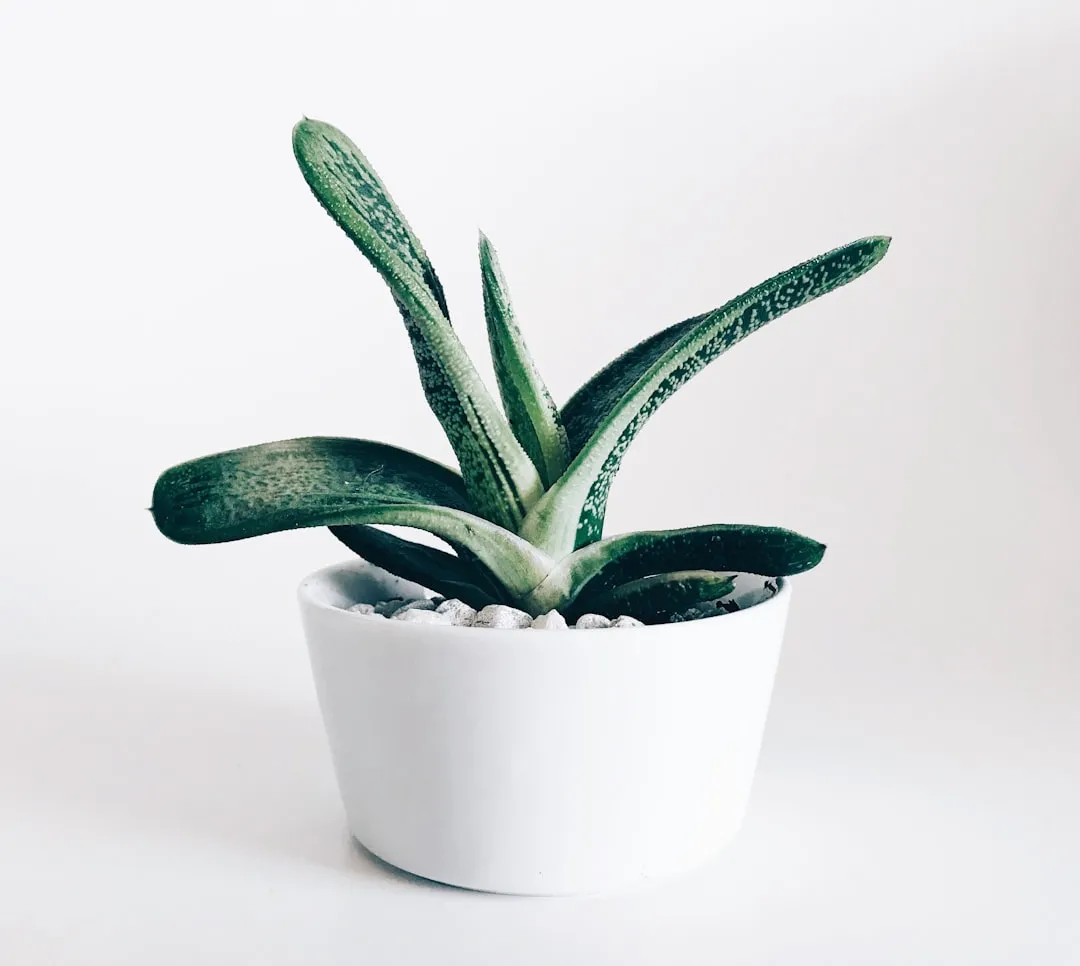 What the Research Does Not Yet Claim (Image Credits: Unsplash)