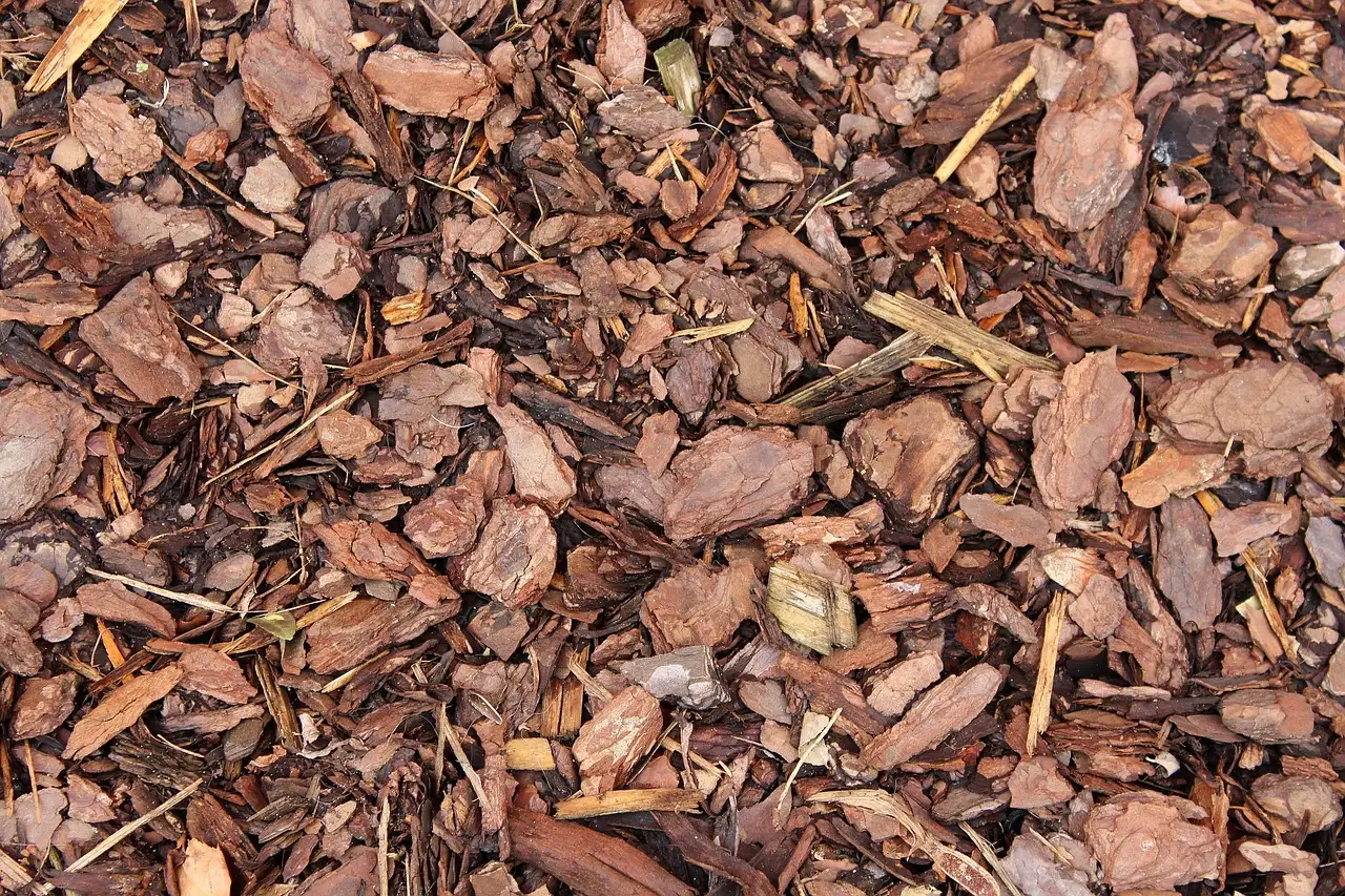 Moisture Retention: A Major Hidden Benefit (Image Credits: Pixabay)
