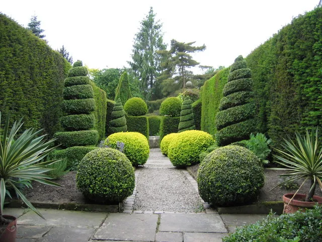 Perennial Herbs and the Long Game (From geograph.org.uk, CC BY-SA 2.0)