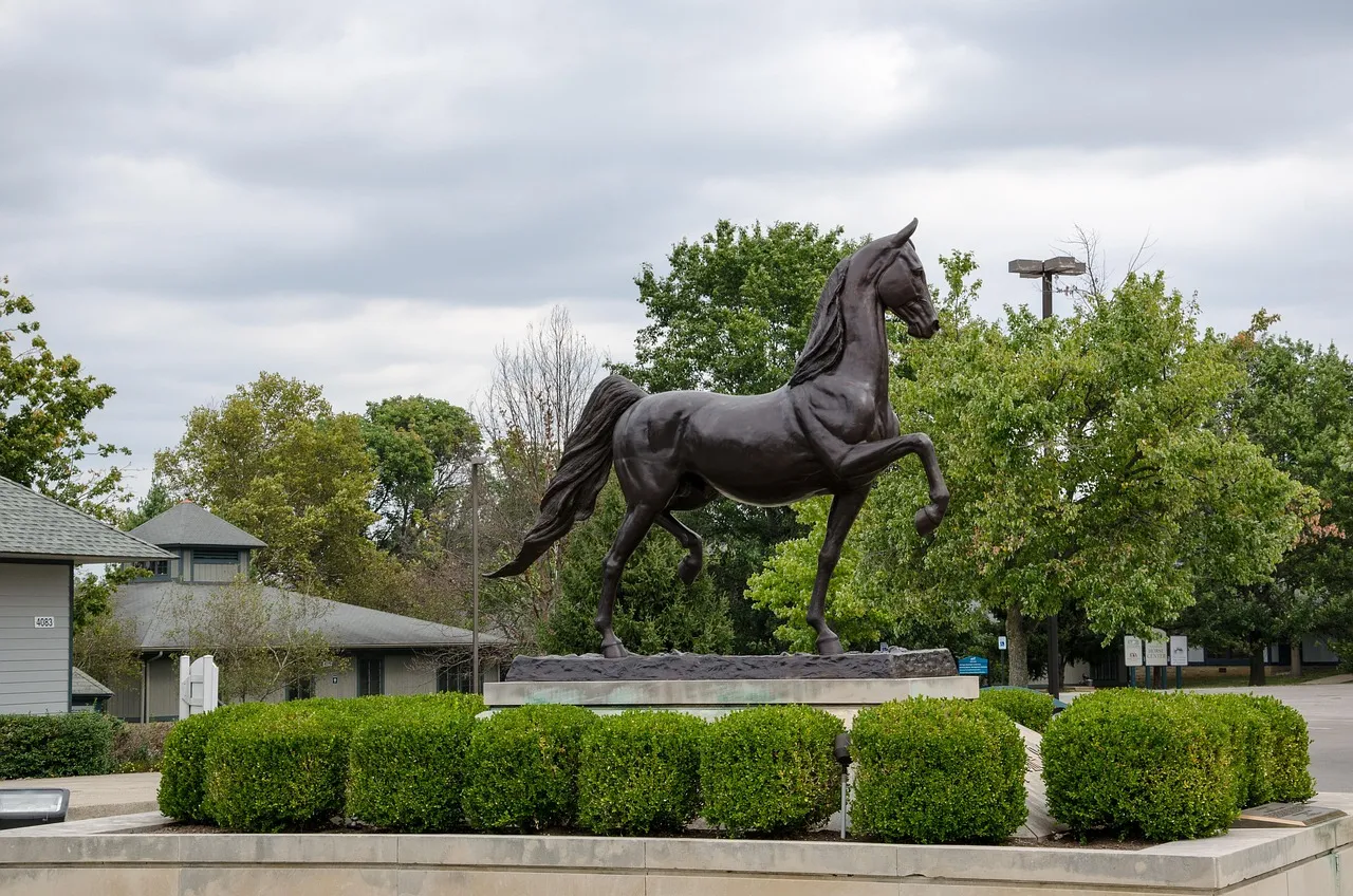 Kentucky Coffeetree: Tough, Distinctive, And Built For Cities (Image Credits: Pixabay)