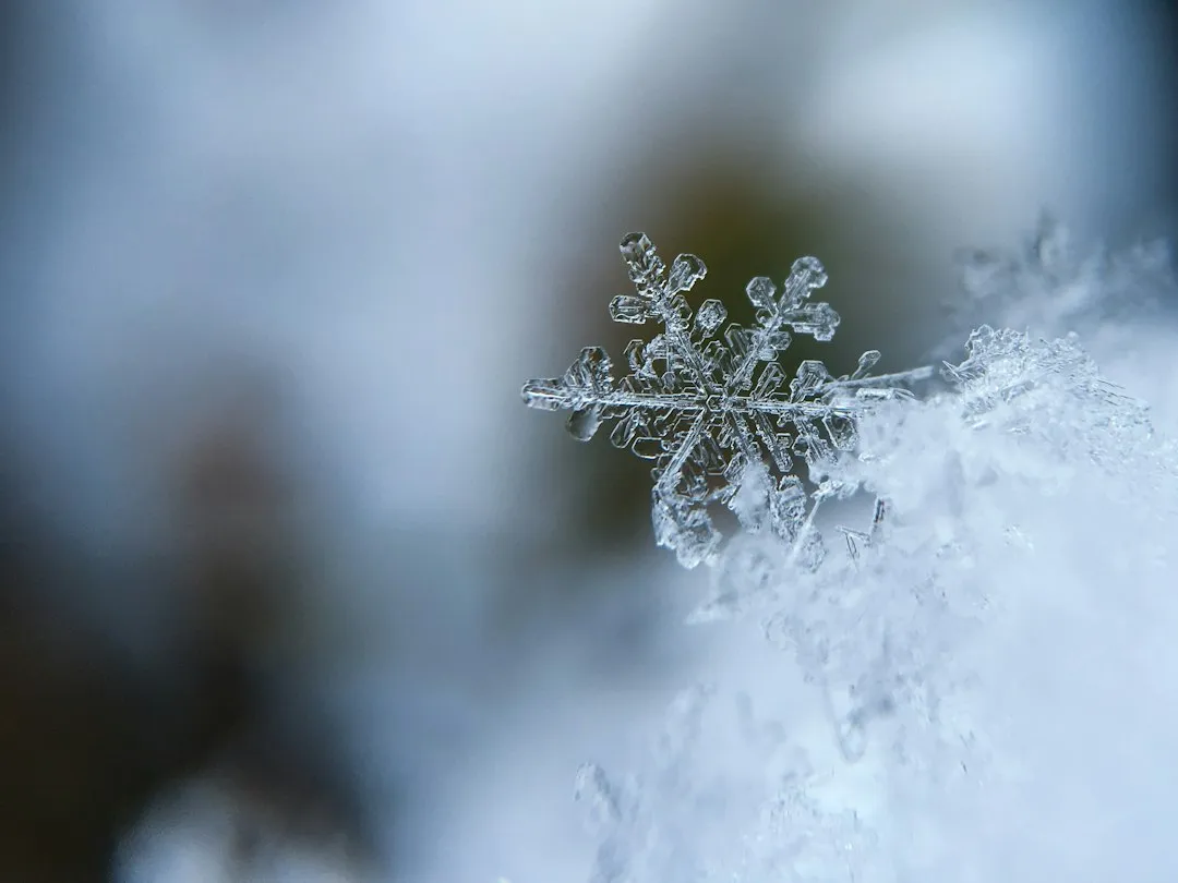 Vernalization: The Cold the Plant Actually Needs (Image Credits: Unsplash)